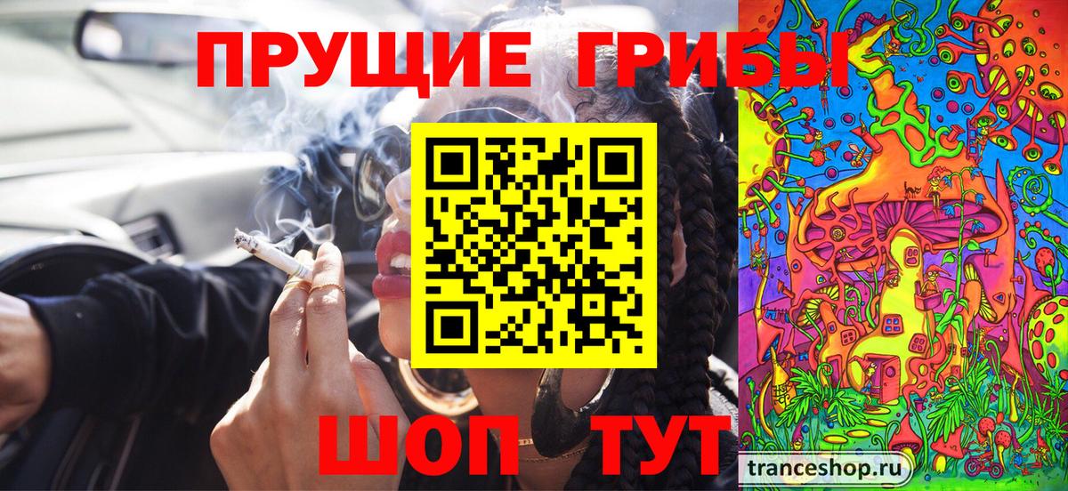 Глазов  где купить наркоту  Вход с VPN  Псилоцибиновые грибы Psilocybine cubensis 